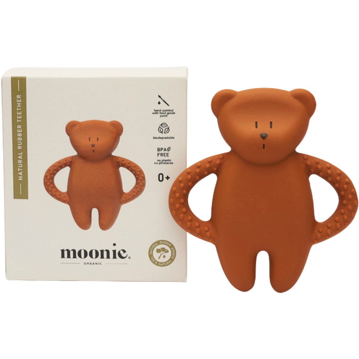 Moonie ours de dentition