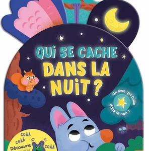 Qui se cache dans la nuit ? - Un livre qui brille dans le noir !