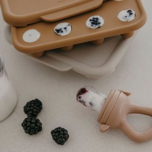 Bac à glaçons pour tétine grignoteuse camel