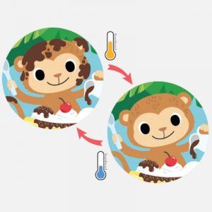 Livre de bain jungle